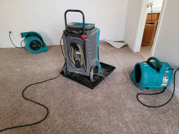 Best Emergency water damage restoration  in Rutledge, TN