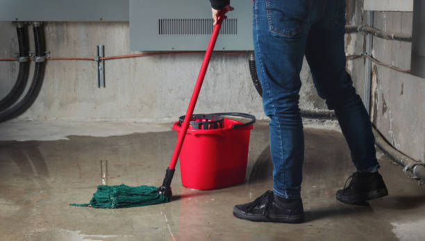 Best Water damage restoration company  in Rutledge, TN