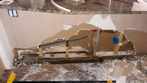 Best Carpet water damage restoration  in Rutledge, TN