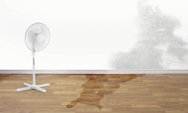 Best Emergency water damage restoration  in Rutledge, TN