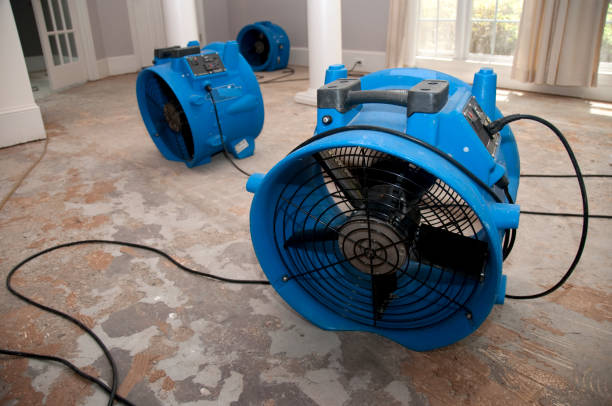 Best Ceiling water damage repair  in Rutledge, TN