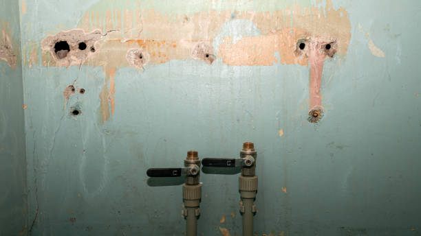 Best Fire Damage Restoration  in Rutledge, TN