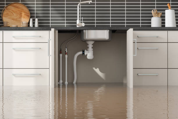 Best Water damage cleanup near me  in Rutledge, TN