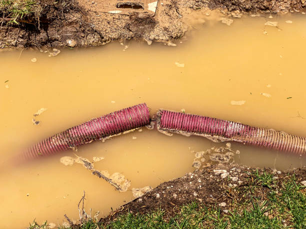 Best Sewage cleanup and water damage restoration  in Rutledge, TN