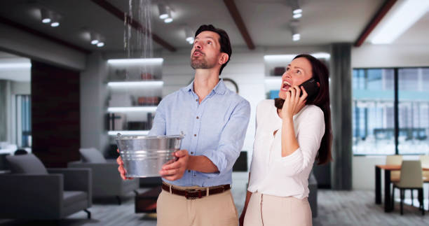 Best Flood damage cleanup  in Rutledge, TN