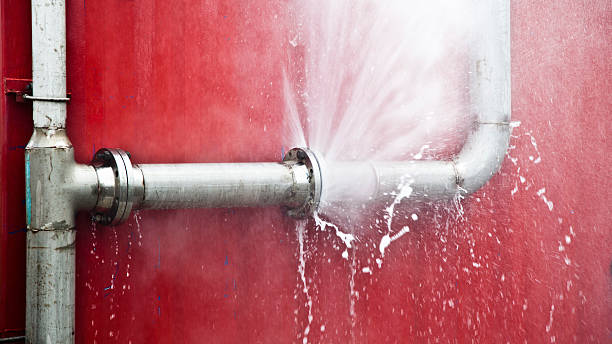 Best Water damage restoration process  in Rutledge, TN