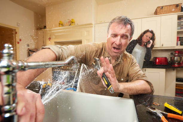 Best Flood damage cleanup  in Rutledge, TN